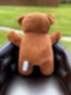 Thumbnail: Heart Surgery Bear,The Cardiac Bear, Open Heart Surgery Recovery Gift, Hospital