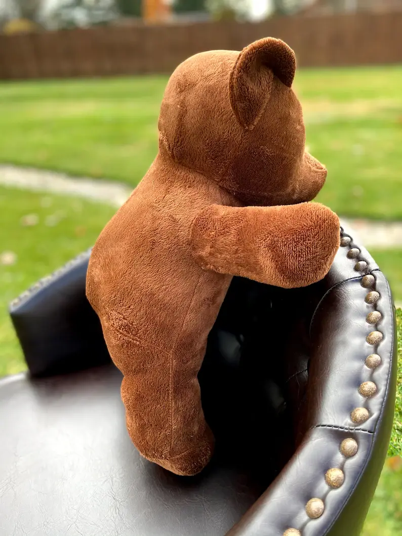 Thumbnail: Heart Surgery Bear, Cardiac Bear, The Cardiac Bear, Open Heart Surgery Bear, Byp