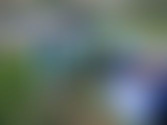 Spring is on it's way!