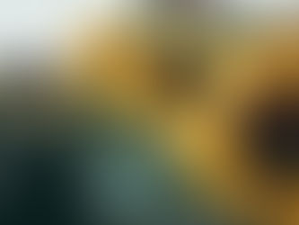 Moving Gratitude from a Post to a Practice