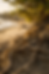 ChatGPT Image May 23, 2026, 10_38_16 AM.png