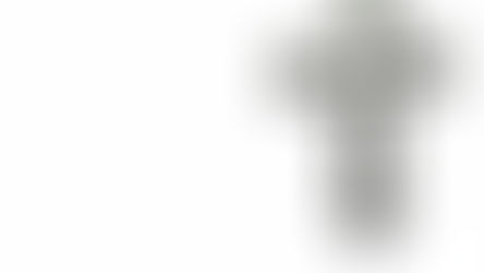 Pope Leo XIV for this Lent: "Let us ask for the grace to live more attentive to God and to those most in need"