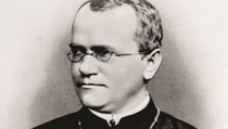 Gregor Mendel, "the failures" of the Augustinian scientist that led to the discovery of a new science