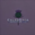 Caledonia_Productions_Logo.jpg