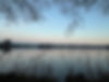 IMG_3880.jpeg