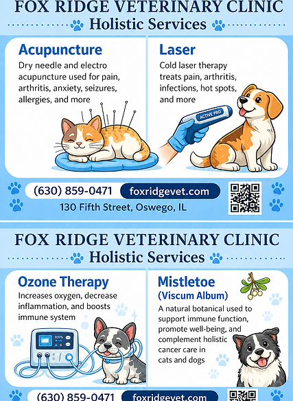 holistic services updated 4-30-26.png