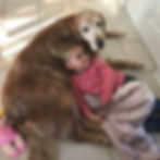 Max the dog and his little friend cuddle