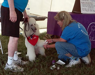 Dr Judy McBeth bandaging Lacey the dog's paw