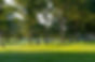 DSC07881.jpg