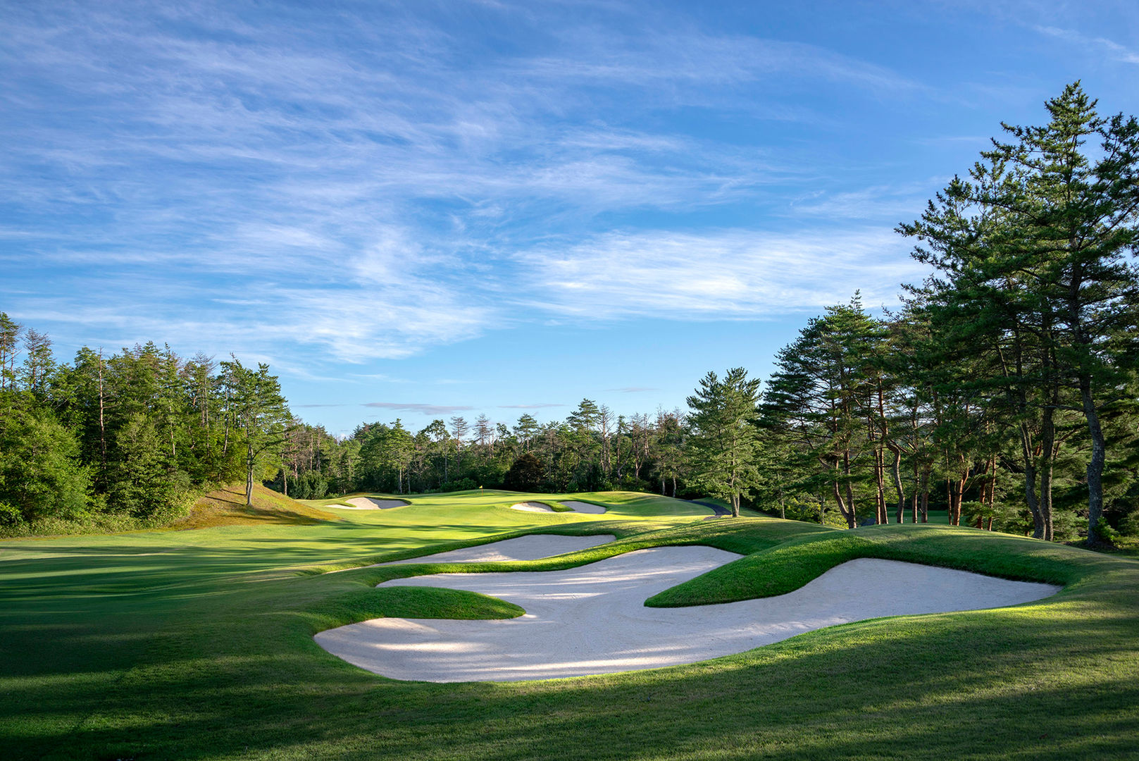 信楽カントリー倶楽部 杉山コース