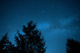 夜には満天の星空の中バーベキューを楽しめます