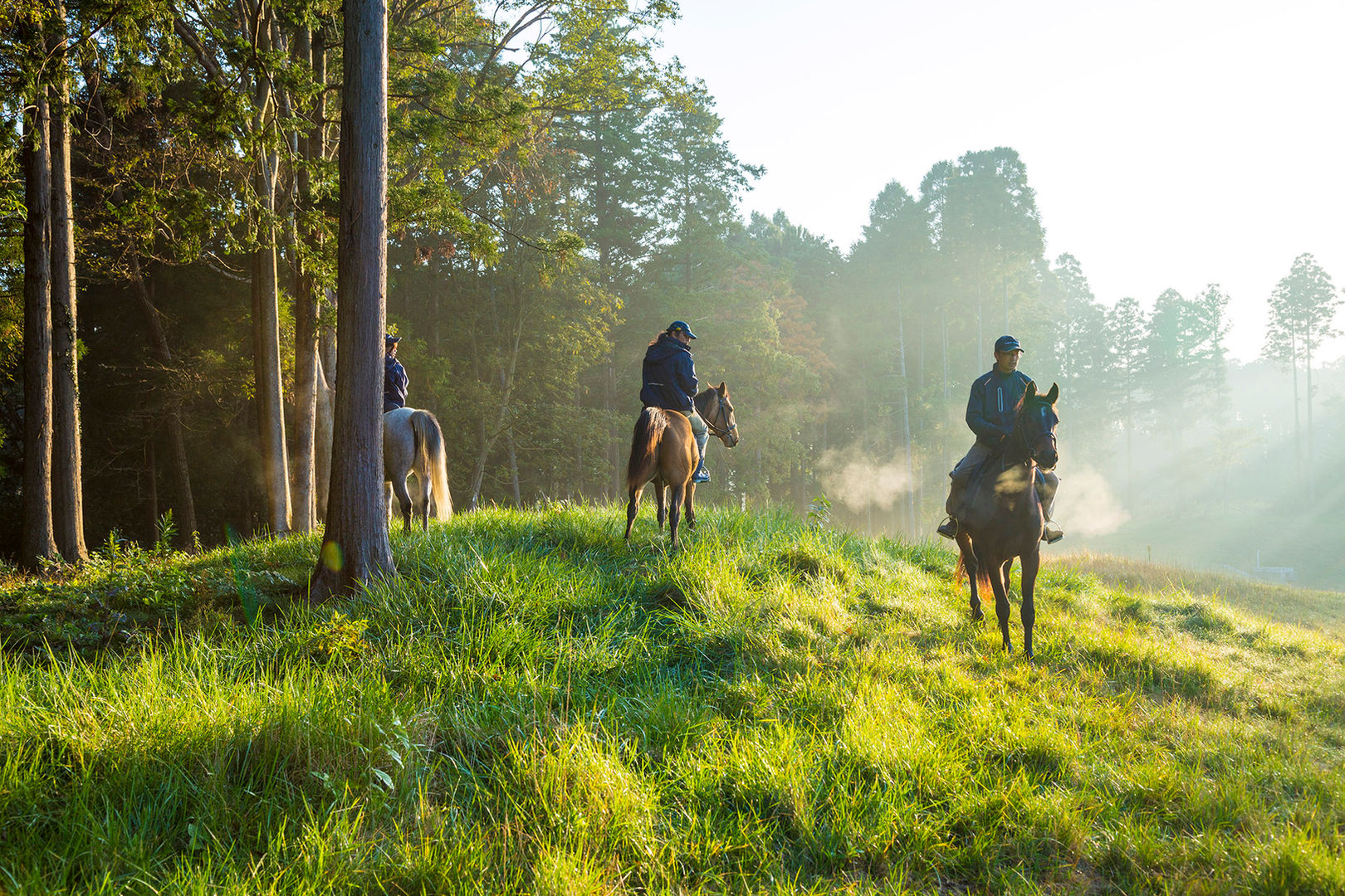 東京クラシッククラブ