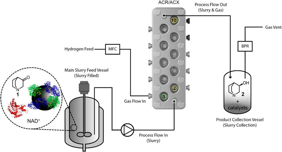 Graphic representing the continuous hydrogenation Coflore Reactor set-up