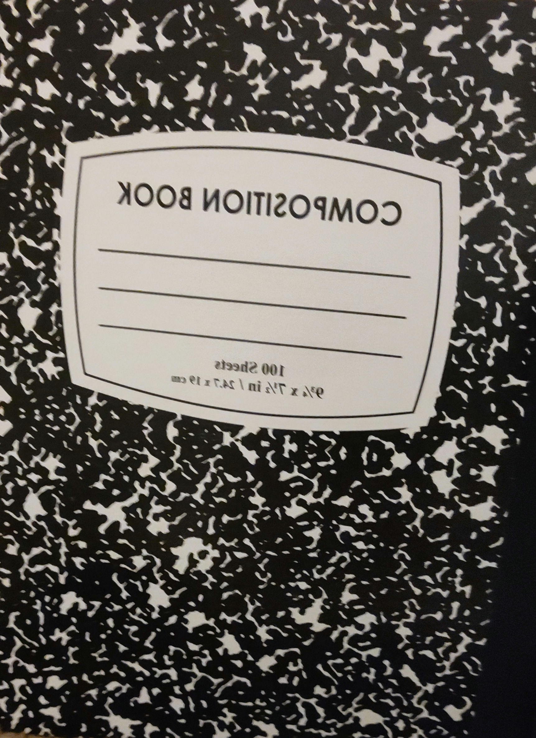 Notebook 100 sheets