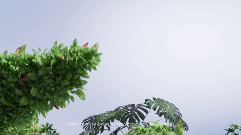 ezgif-255f70289cddc9.gif