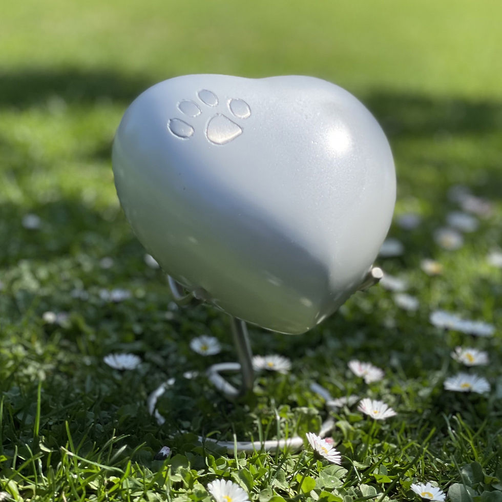 Miniatura: Ánfora Corazón Perla