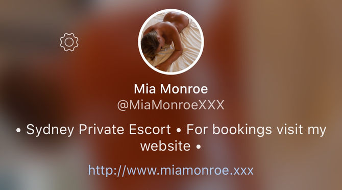 Twitter Link