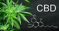 CBD Chemical Compound.jpeg