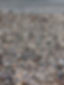 Beach pebbles.jpg