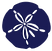 sand dollar image_edited.png