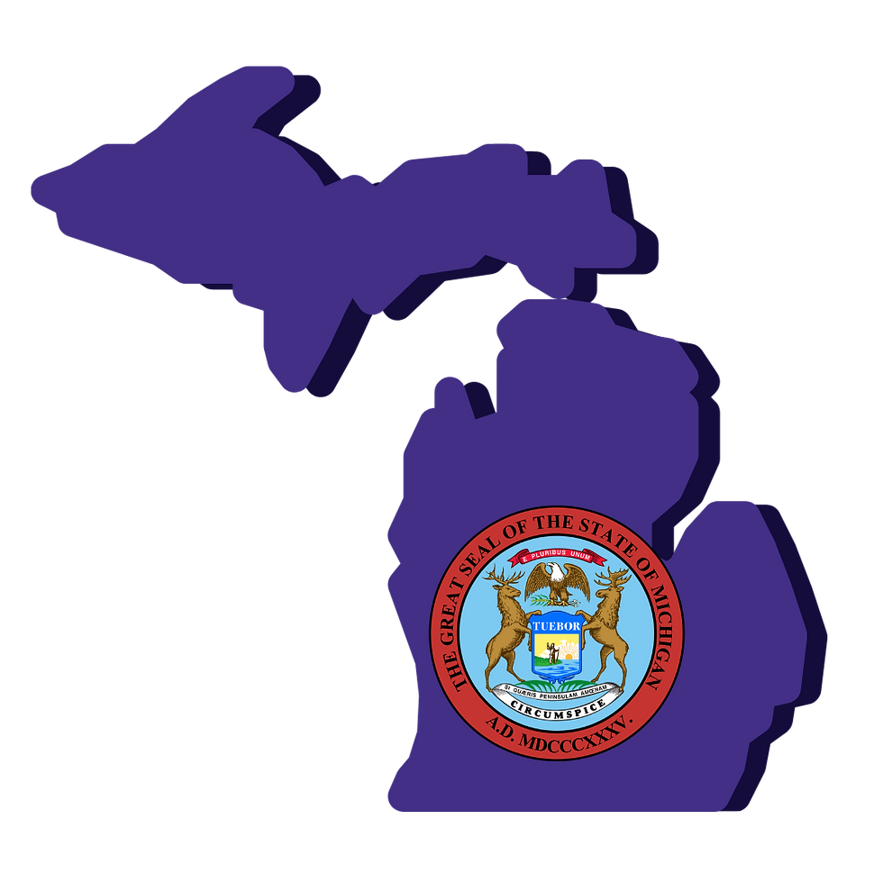 Michigan Remote Online Notarization. Notary Public. RON DOCUMENT SIGNING.