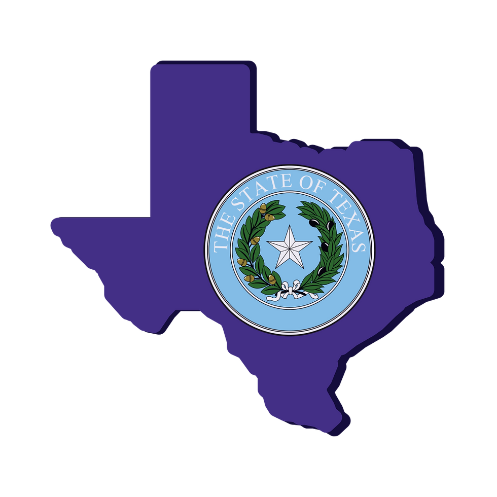 Texas Remote Online Notarization. Notary Public. RON DOCUMENT SIGNING.
