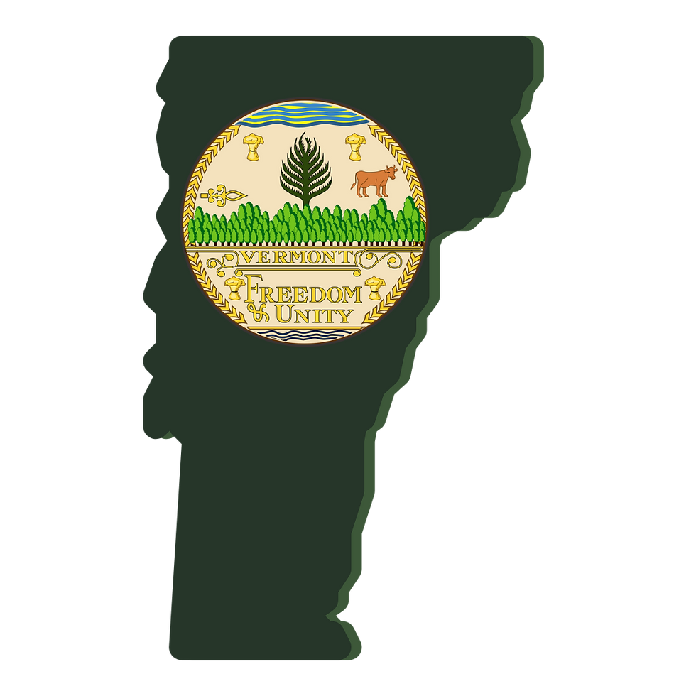 Vermont Remote Online Notary