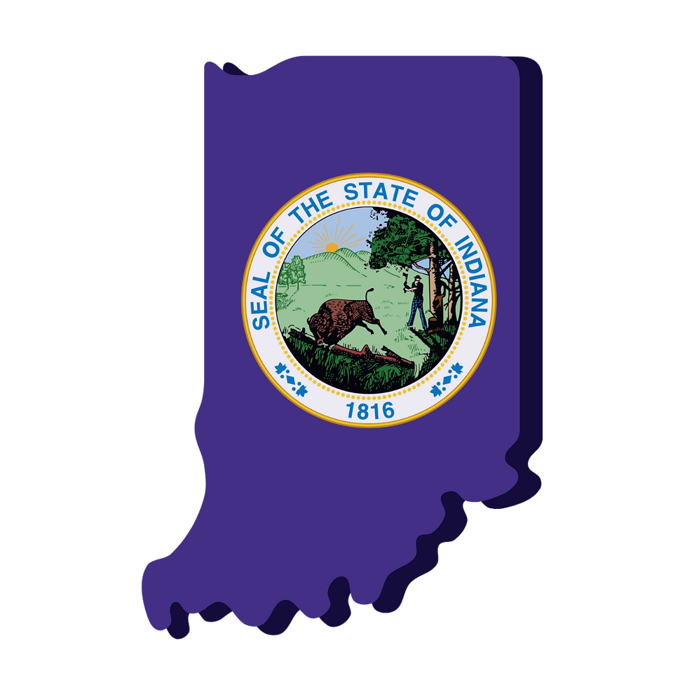 Indiana Remote Online Notarization. Notary Public. RON DOCUMENT SIGNING.