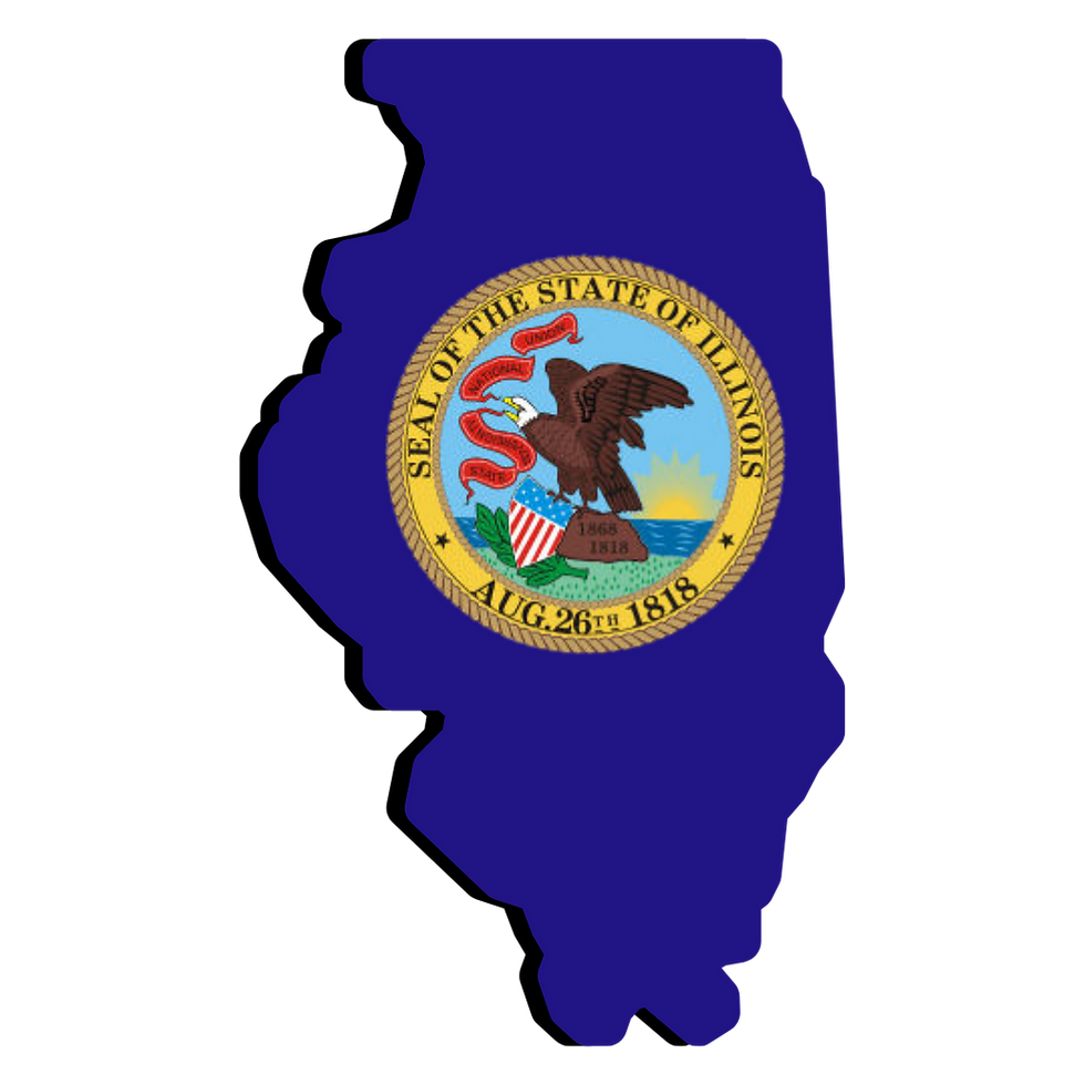 Illinois Remote Online Notarization. Notary Public. RON DOCUMENT SIGNING. 
