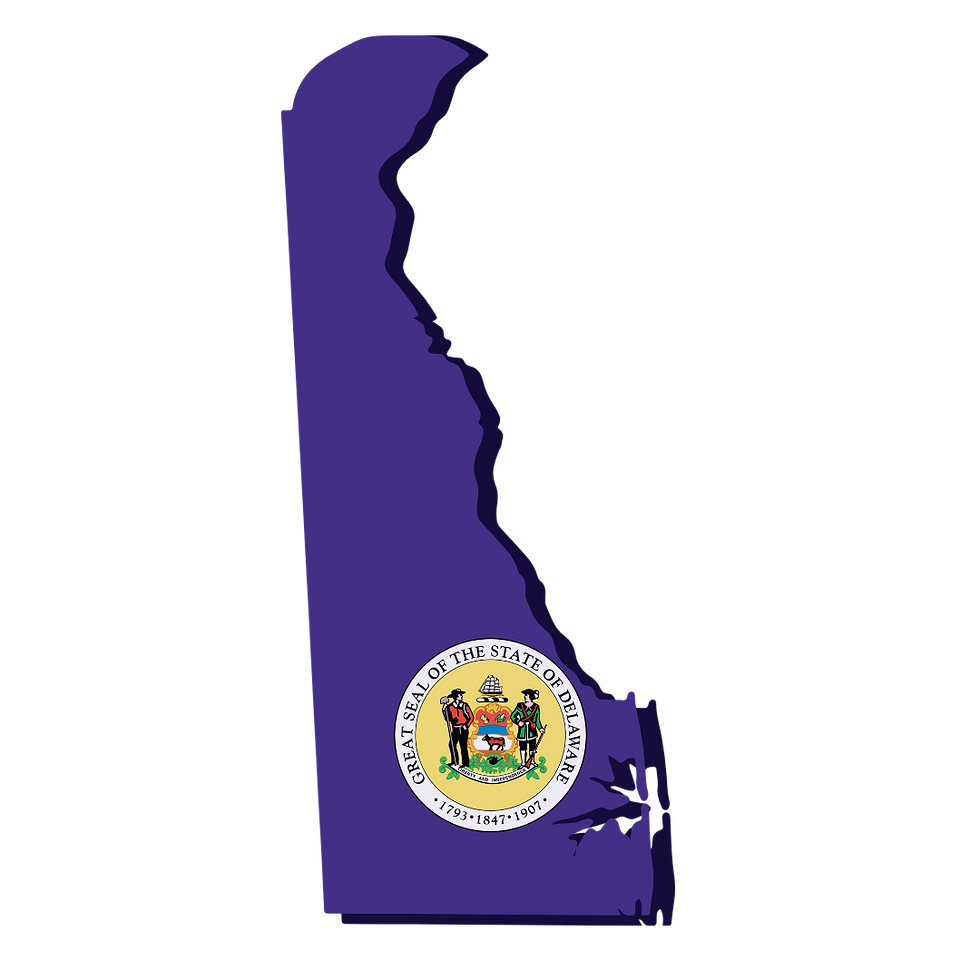Delaware Remote Online Notarization. Notary Public. RON DOCUMENT SIGNING.