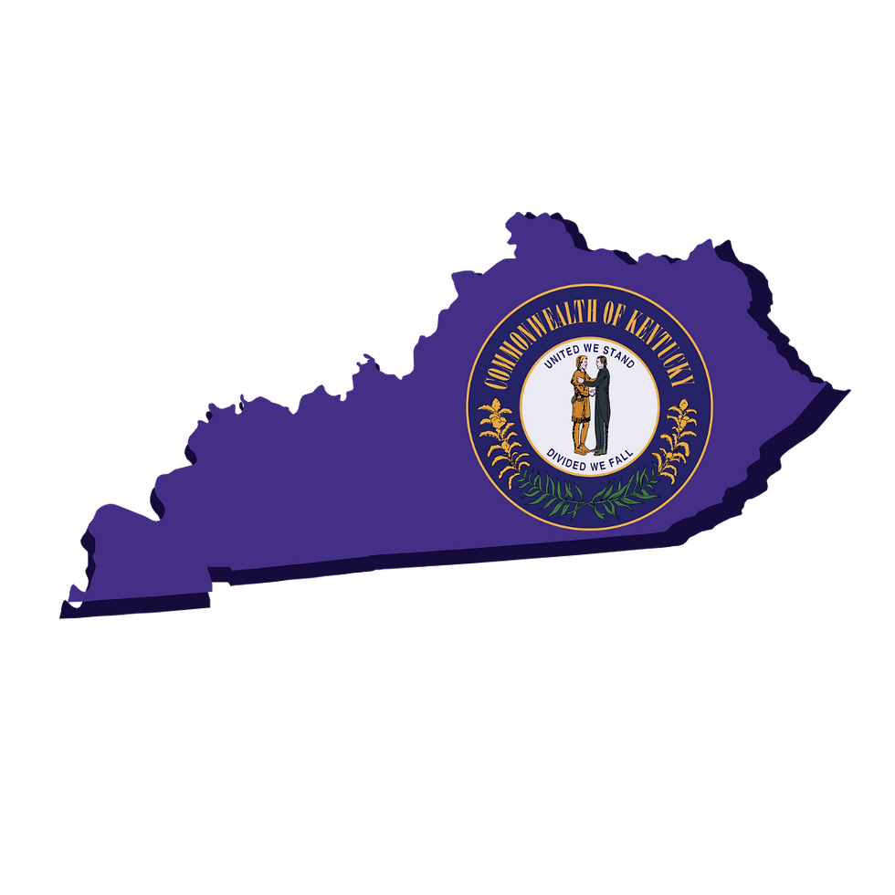 Kentucky Remote Online Notarization. Notary Public. RON DOCUMENT SIGNING.