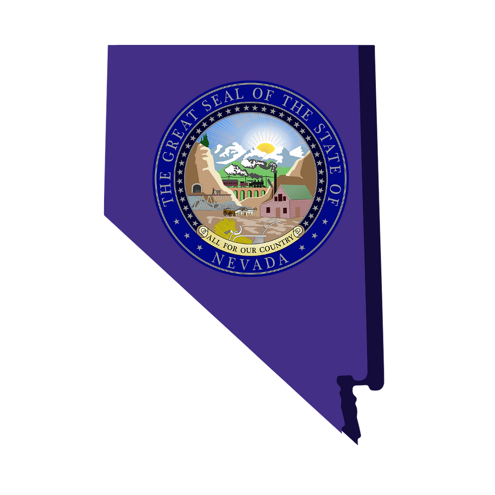Nevada Remote Online Notarization. Notary Public. RON DOCUMENT SIGNING.