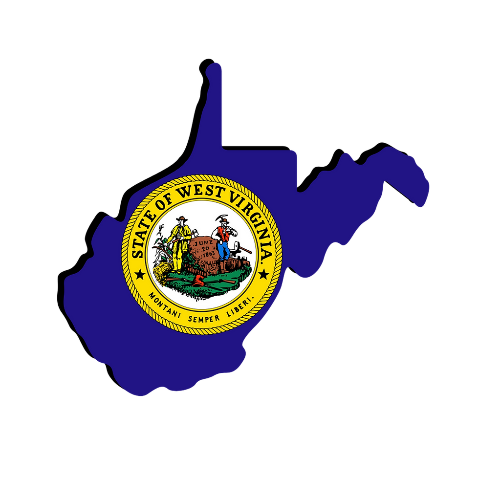 West Virginia Remote Online Notarization. Notary Public. RON DOCUMENT SIGNING. 