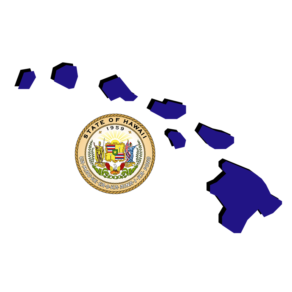 Hawaii Remote Online Notarization. Notary Public. RON DOCUMENT SIGNING. 