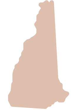 New Hampshire Remote Online Notary