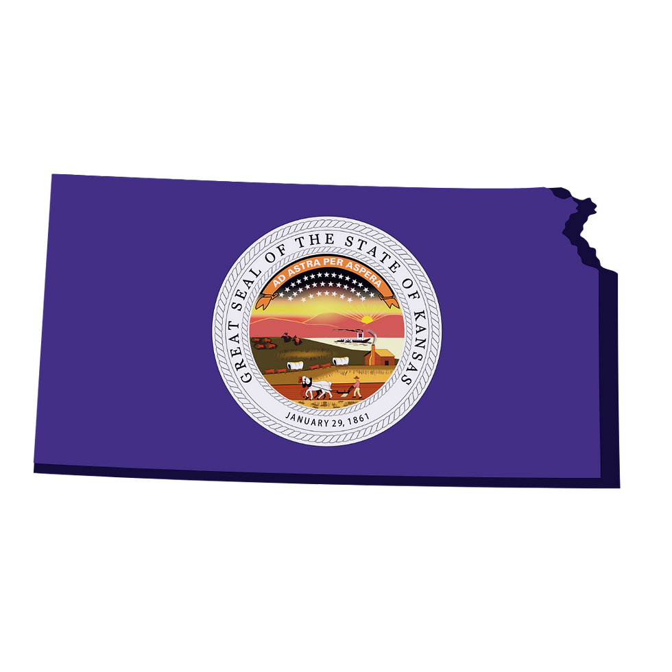 Kansas Remote Online Notarization. Notary Public. RON DOCUMENT SIGNING.