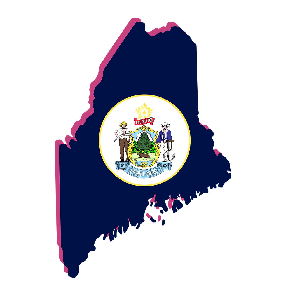 Maine Notary Public, Remote Online Notarization