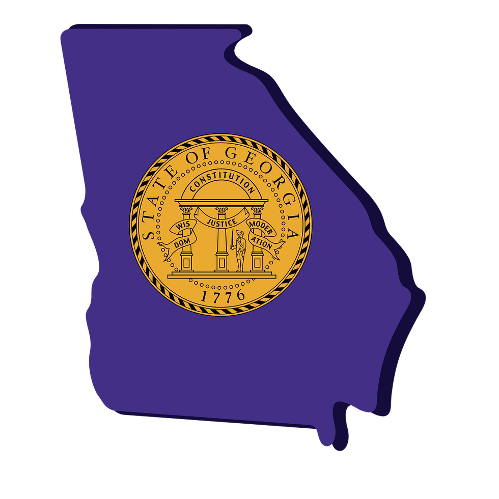 Georgia Remote Online Notarization. Notary Public. RON DOCUMENT SIGNING.