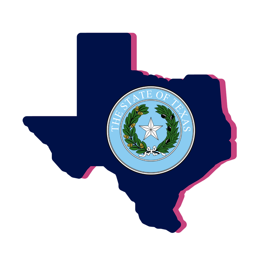 Texas Notary Public, Remote Online Notarization