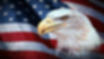 Flag and Eagle_edited.jpg