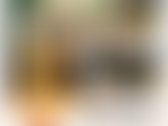 【みかん山の収穫祭 10/26・27開催!】