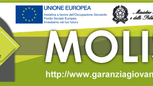 Tirocini over 30, riapre il bando della Regione Molise