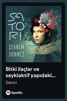 WhatsApp Image 2025-10-22 at 17.18.34 (1).jpeg