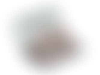 ペットの毛は、パソコン内部に溜まりやすいです🐶😺