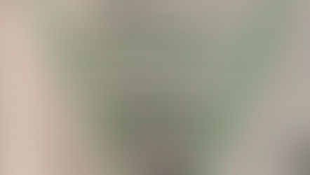 Narrowing the focus and narrative writing