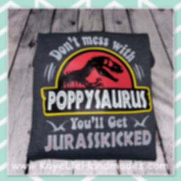 ADULT - Vinyl Sweatshirt - Saying Hoodie - Dinosaurs - Don't Mess