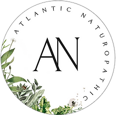 AN Main Logo (1) copy (1).png