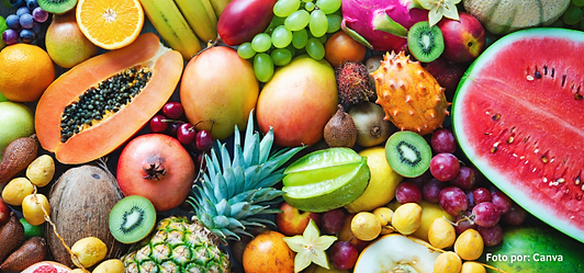 Frutas de Exportacion de Colombia.png