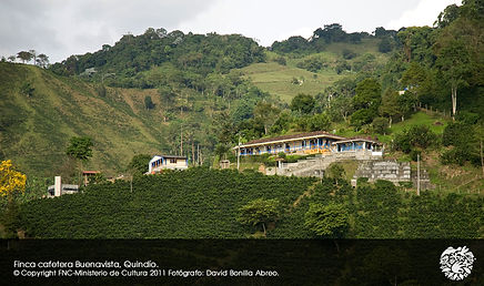 Finca cafetera Buenvavista Quindio.jpg
