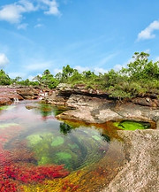 Caño Cristales.jpg